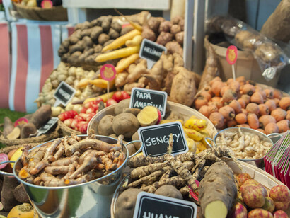 Madrid Fusión 2015. Variedad de tubérculos. Foto: Thalía Olszewski Ibáñez