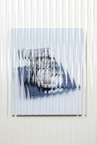 Giuseppe De Mattia. Dispositivo per non vedere bene, Lupa 2, Bologna 2017