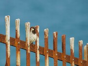 The prescribed measure of lockdown helps reduce deaths