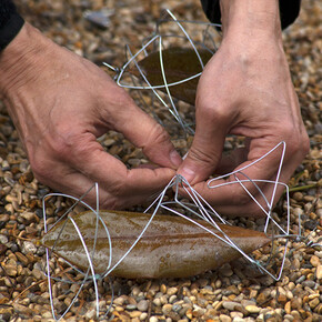 Mario Airò, Surplace, foto Camilla Borghese