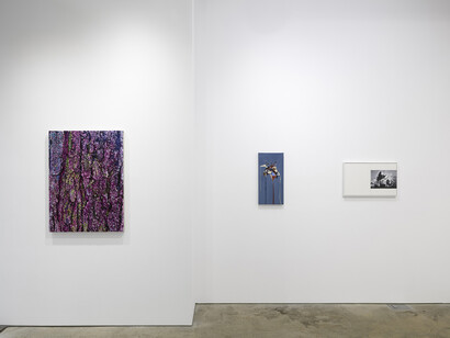 Various artists, Nature of being, exhibition view. Courtesy of Harper’s Chelsea 534