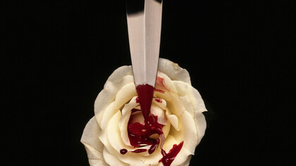 Faca e flor
