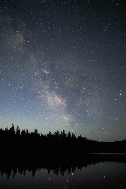 Silhueta de árvores sob a noite estrelada