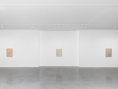 Calvin Marcus, Skin paintings, exhibition view. Courtesy of Museum Dhondt-Dhaenens