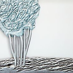 Carlos Poveda: parcours de recherches artistiques. Courtesy of 
Château des Tourelles