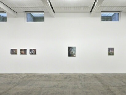 Sabine Moritz, Dawn, Exhibition view. Courtesy of Galerie Marian Goodman