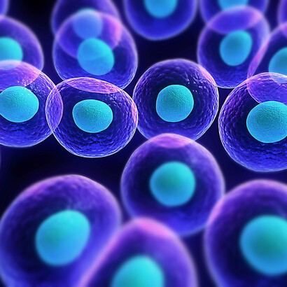 Self-replicating cells
