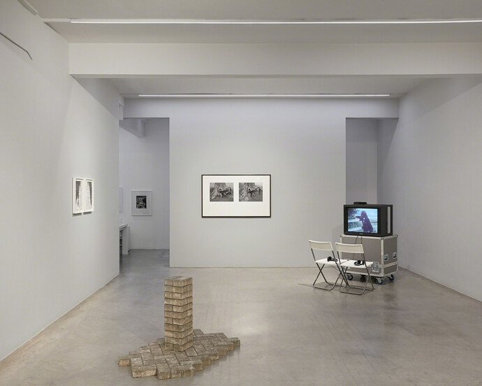 Sean Lynch. Courtesy of Ronchini Gallery