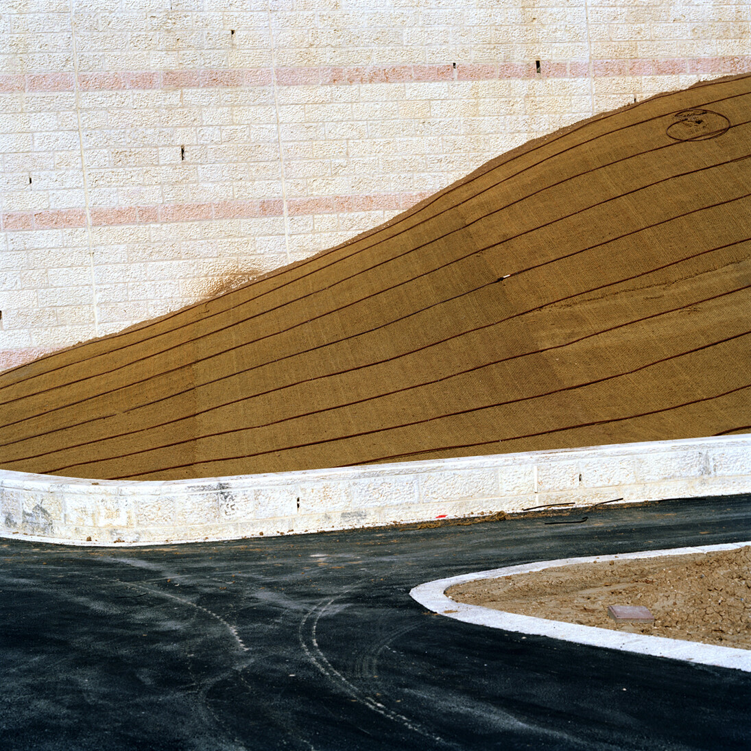 Corrine Silva, Untitled 004 from Gardening the Suburbs, 25 x 25 cm, c type print © Corinne Silva 2014