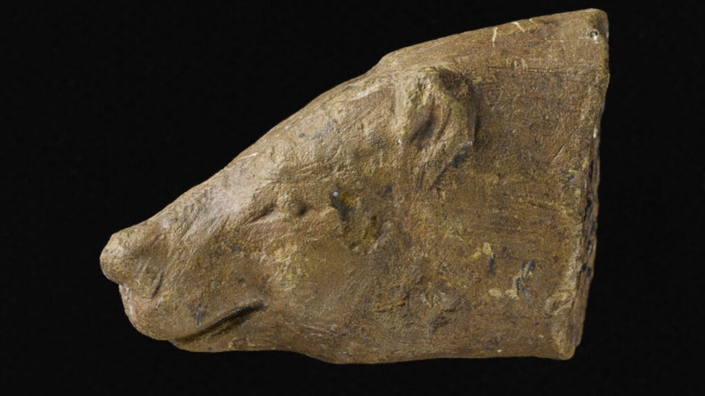 Ours. Courtesy of Laténium