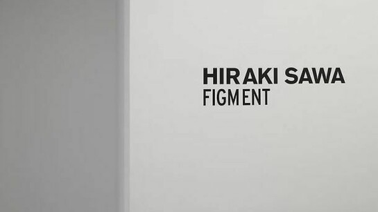 Hiraki Sawa Figment, Installation view, Photographer: Bill Orcutt