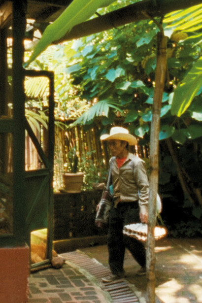 Rosalind Nashashibi: Vivian's Garden. Courtesy of Art Institute of Chicago