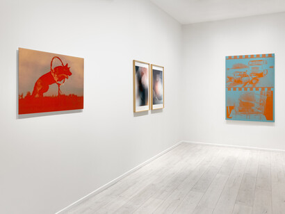 Annika Elisabeth von Hausswolff, A song for Europe, exhibition view. Courtesy of Andréhn-Schiptjenko © Alexandra de Cossette