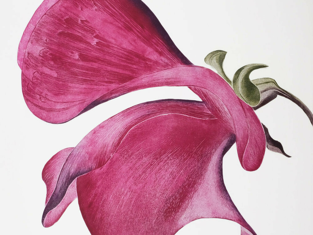 Gráinne Cuffe, Etching, 114 x 108 cm. Courtesy of Graphic Studio Gallery