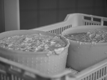 Ricotta. Ph Giulia Scarpaleggia