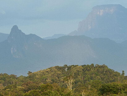 Marahuaka (el árbol de la vida de los Ye’kuana) al fondo; Pico Fhawi-ewihti a la derecha. Vista desde la Sabana de Culebra (Mawadi-anehidiña). Foto: Javier Mesa
