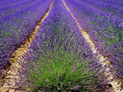 Natura e armonia