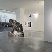 Julia Stoschek Collection