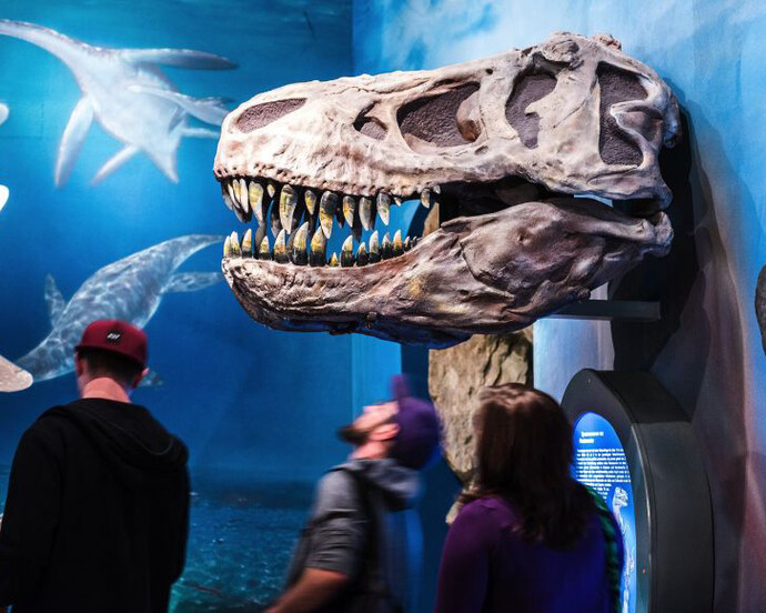 Prehistoric Times and Dinosaurs. Courtesy of Haus der Natur 