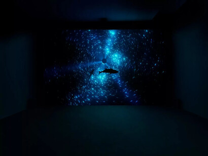 Julian Charrière, Midnight zone, ausstellungsansicht. Mit freundlicher genehmigung der Galerie Dittrich und Schlechtriem