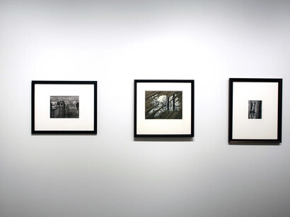 Between order and chaos: André Kertész and M. C. Escher, exhibition view. Courtesy of Bruce Silverstein Gallery