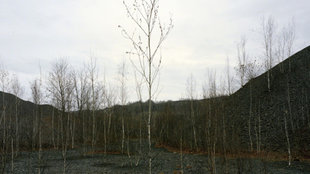 After the Fall. Courtesy of Carrie Able Gallery