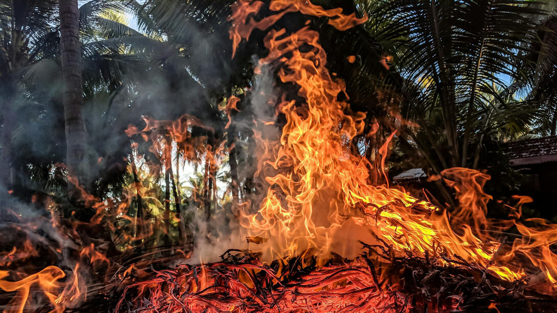 Fuego amarillo se expande en un incendio forestal