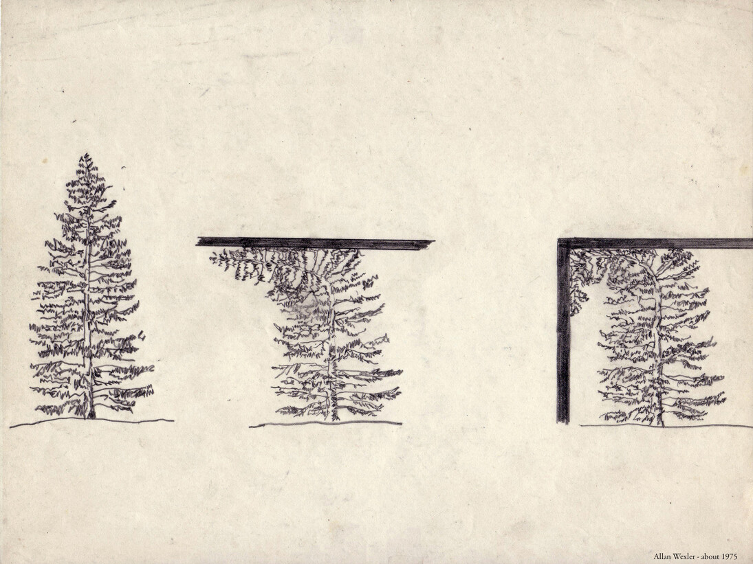 Allan Wexler, Tree intersecting plane, about 1975