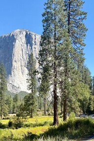 Driving along Highway 395 through Yosemite National Park, California, United States