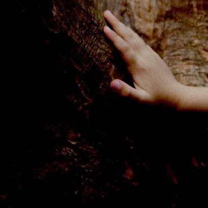 Cual Barón rampante