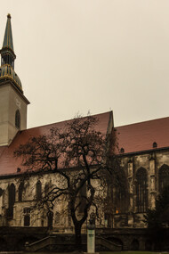 St. Martin's Cathedral (Slovak: Katedrála svätého Martina or Dóm svätého Martina; Hungarian: Szent Márton-dóm or Koronázó templom; German: Kathedrale des Heiligen Martin) is a historic church in Bratislava, Slovakia, and serves as the cathedral of the Archdiocese of Bratislava