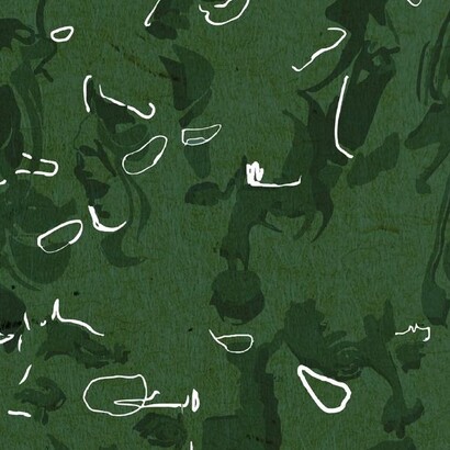 Le undici tracce di Aphonia attraversano temi come afasia, ecolalia, panico, memoria e silenzio, trasformando condizioni cliniche e psicologiche in paesaggi sonori