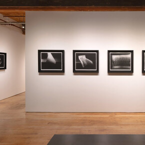 Lynn Silverman, In a matter of time, exhibition view. Courtesy of Goya Contemporary Gallery 
