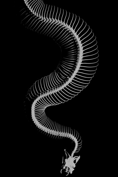 Vida e morte não são contraditórias