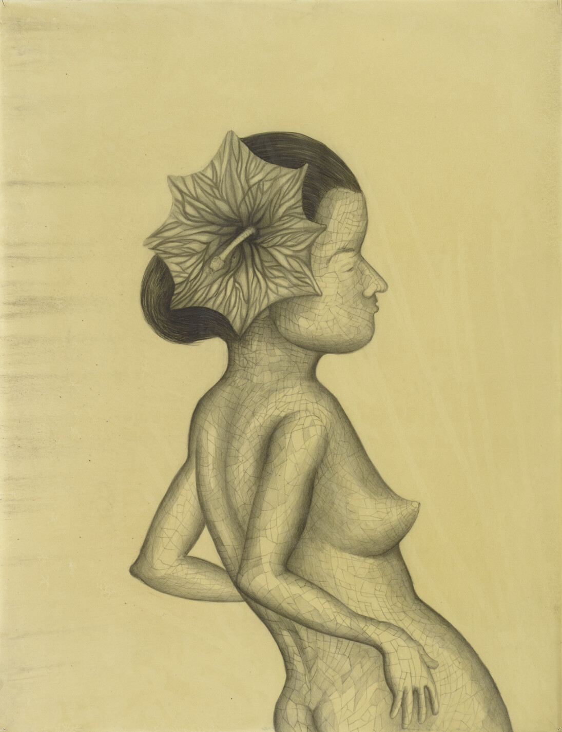 Sandra Vasquez de la Horra, La Contemplante, 2014. Graphite on paper, wax 78,5x60,5 cm