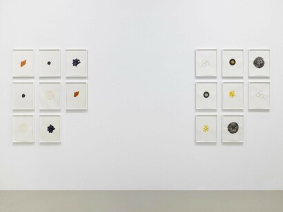 Roni Horn, exhibition view. Courtesy of Galleria Raffaella Cortese