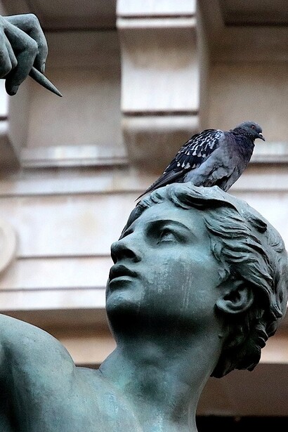 Gli escrementi non solo deturpano l'estetica delle opere d'arte pubbliche, ma compromettono anche l'esperienza dei visitatori e il valore turistico delle città, richiedendo soluzioni innovative per la protezione dei monumenti storici
