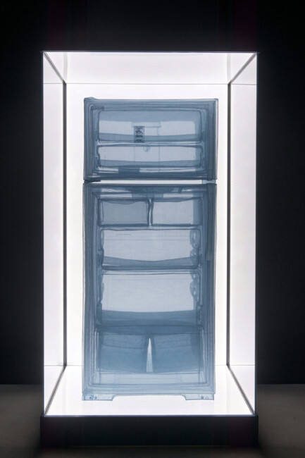 Do Ho Suh, Specimen Series: Refrigerator, Apartment A, 348 West 22nd Street, New York, NY 10011, USA, 212 x 112.8 x 108.7 cm, polyster fabric, stainless steel wire and display case with LED lighting, 2013