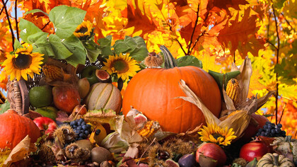 I frutti dell'Autunno