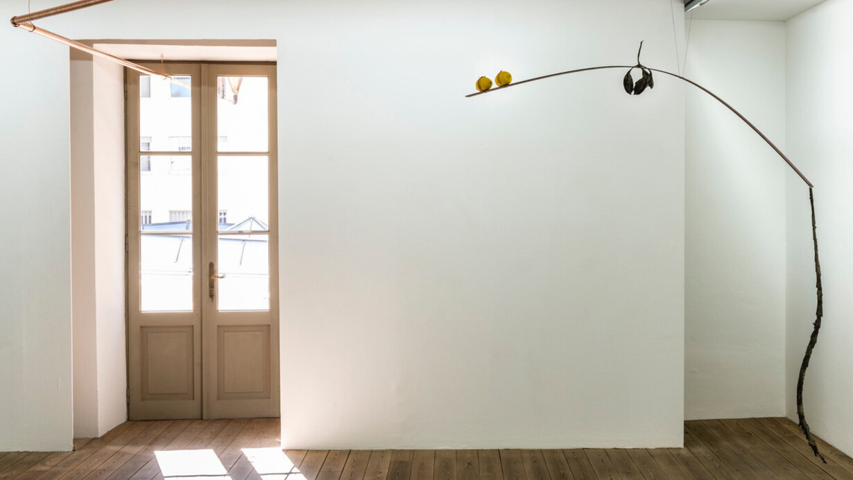 Katinka Bock, April, personne, 2013/2019. Courtesy the artist and Jocelyn Wolff, Paris; Popolazione (righe e retta), limoni, 2018, Courtesy the artist and Meyer Riegger, Berlin / Karlsruhe.
