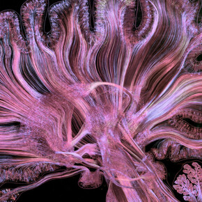 Portal. Courtesy of October Gallery