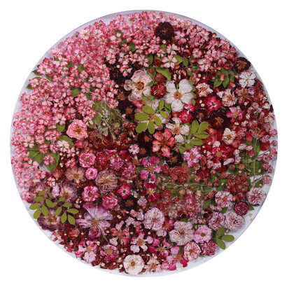 Sasha Sykes, Anam cara (roses). Courtesy of Voltz Clarke Gallery