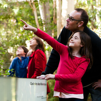 Forest gallery, exhibition view. Courtesy of Melbourne Museum