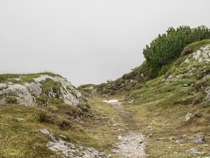Stefano Cioffi, Croda Rossa, Sesto, m 2300 slm
stampa fotografica a pigmenti,
100 x 132 cm,   
luglio 2014
