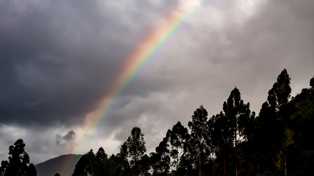 Arcoíris sobre un bosque en un día nublado