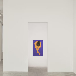 Seung Ah Paik, Suspended landscapes, exhibition view. Courtesy of Bortolami 
