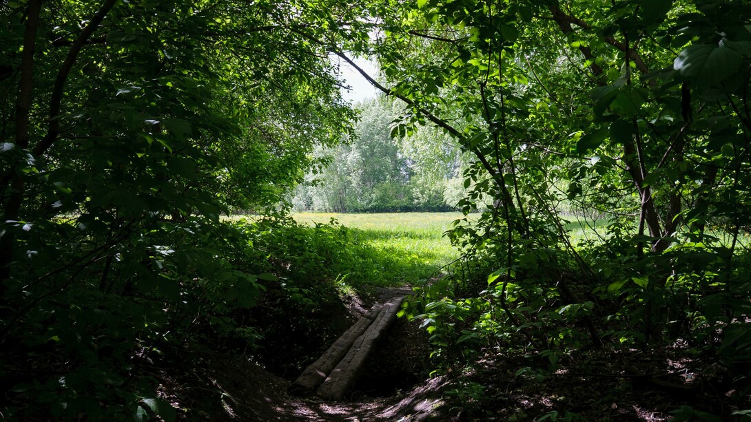 La tierra, aún tibia por el día, desprendía un aroma terroso mezclado con el perfume dulzón de las flores silvestres que crecían al borde del camino