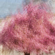 Jacob Gils, Paris #5 (detail). Courtesy of In The Gallery