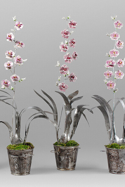 Le Cabinet de Porcelaine