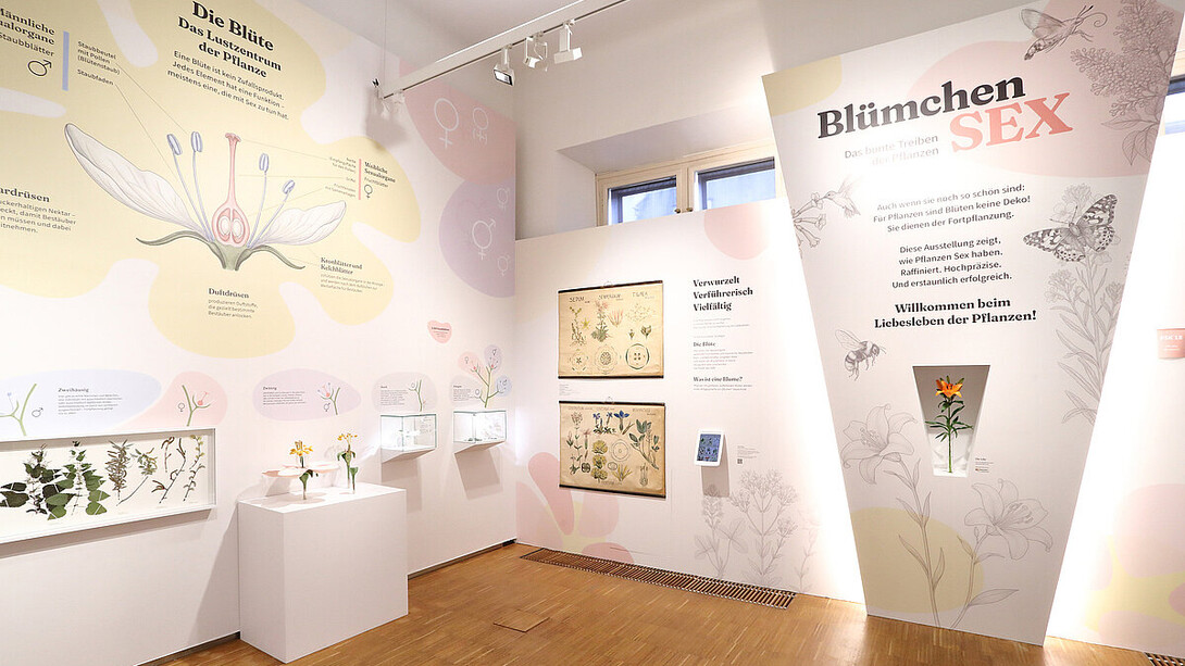 Blümchensex. Das bunte treiben der pflanzen, ausstellungsansicht. Mit freundlicher genehmigung des Natural History Museum